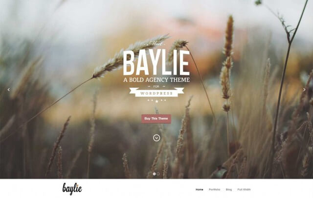 Baylie-WordPress-parallax-Theme1