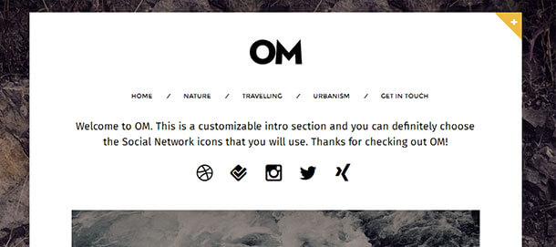 Om-WordPress-theme