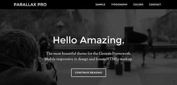 Parallax-Pro-theme