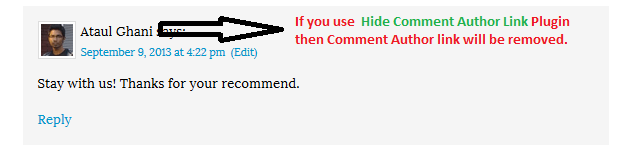 Remove Comment Author Link