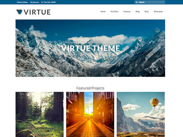 Virtue Theme