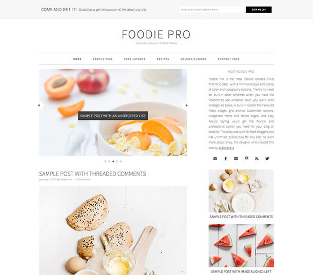 foodie-pro-wordpress-theme