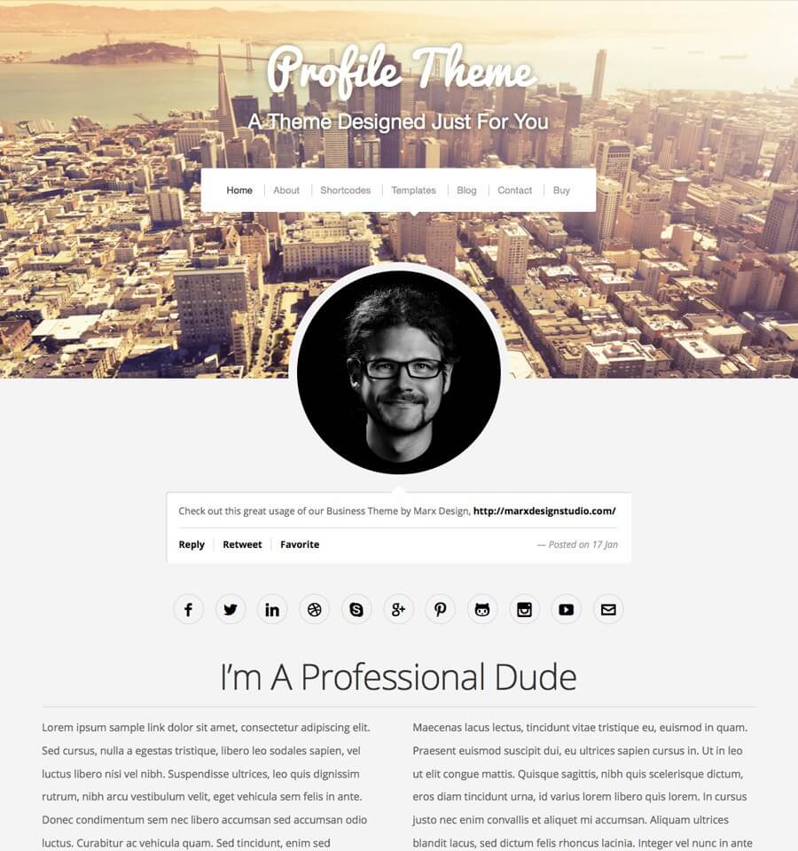 profile-WordPress-theme1