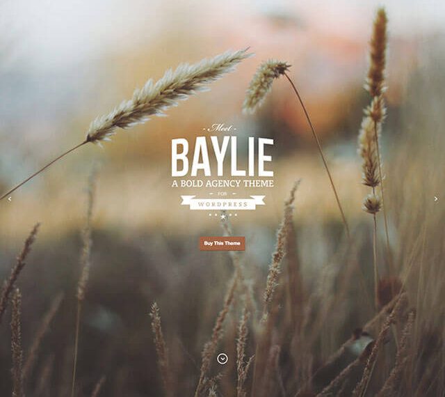 Baylie WordPress Theme