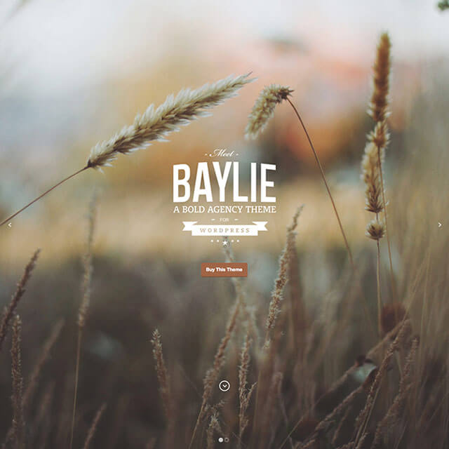 Baylie-WordPress-Theme