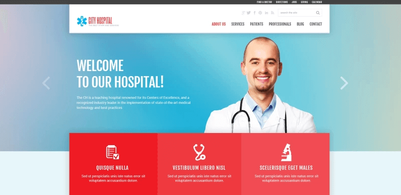 Doctor Responsive WordPress Theme