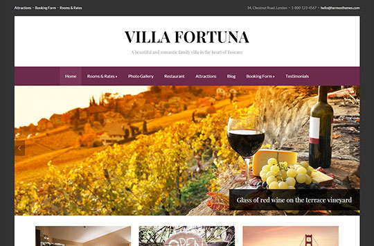 fortuna-wordpress-theme