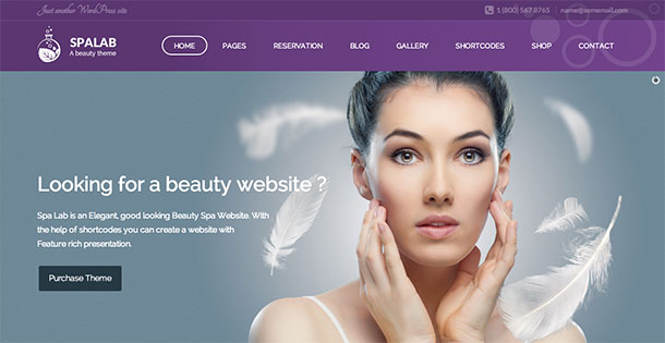 spa-lab-wordpress-theme