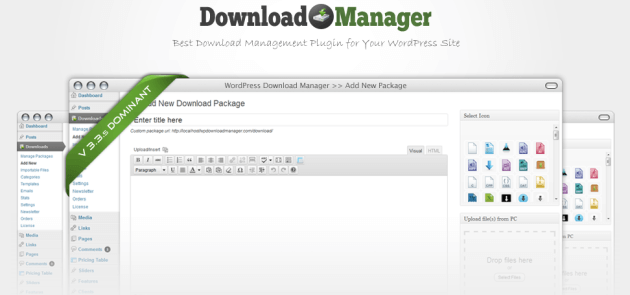 WP download manager