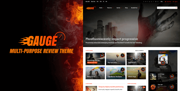 Gauge Review Theme