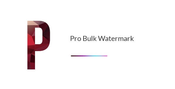 Pro Bulk Watermark Plugin