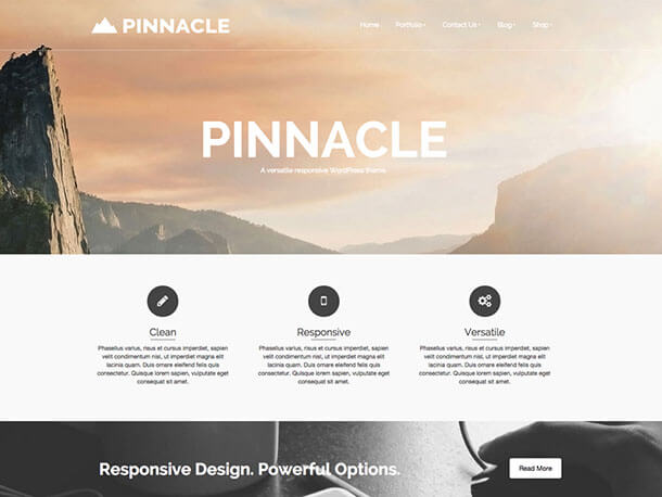 pinnacle-theme