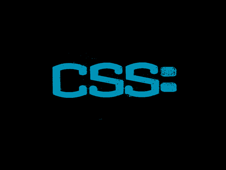 CSS for WordPress Theme