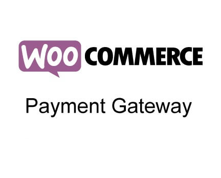 WooCommerce Payment Gateway Plugins