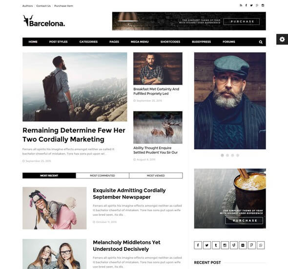 Top 10 WordPress News, Magazine, Editorial Themes 6