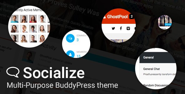WordPress BuddyPress Themes 10