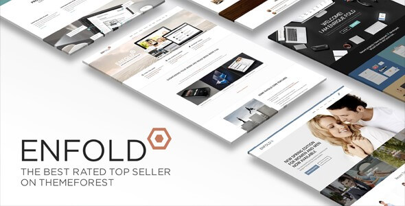 WordPress eCommerce Themes 1