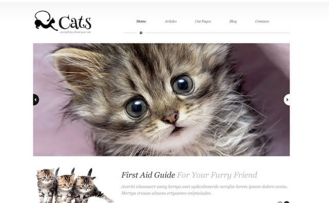 about-cats-wordpress-theme