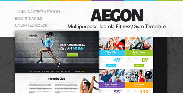 aegon-onepage-responsive-gym-fitness-club-template-miscellaneous