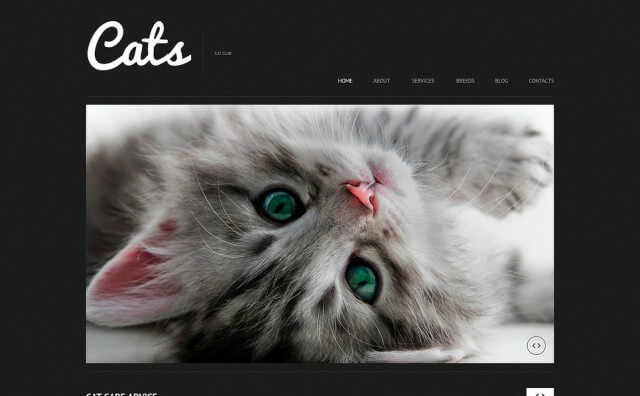 cat-responsive-wordpress-theme-1