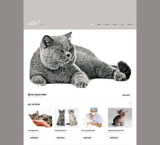 cat-responsive-wordpress-theme-2