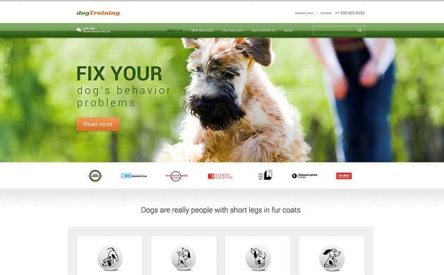 dog-responsive-wordpress-theme-1