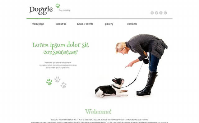 dog-responsive-wordpress-theme-2