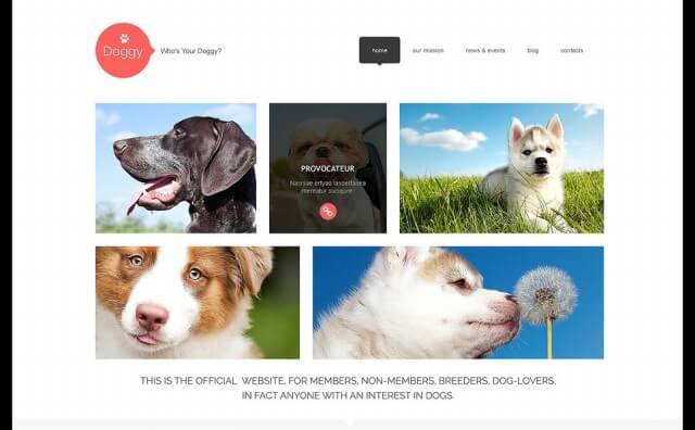 dog-responsive-wordpress-theme-4