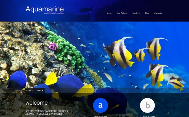 fish-responsive-wordpress-theme-2