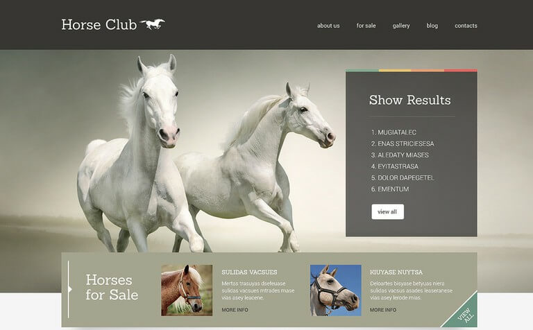 Horse Club WordPress Theme