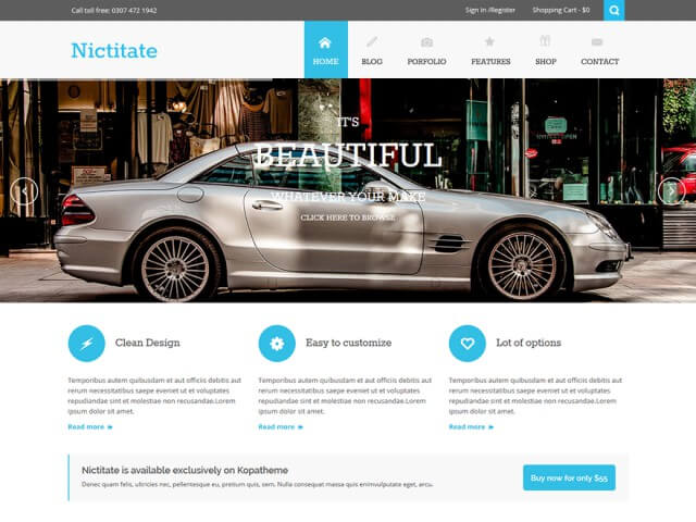 nictitate-free-portfolios-corporate-wordpress-theme