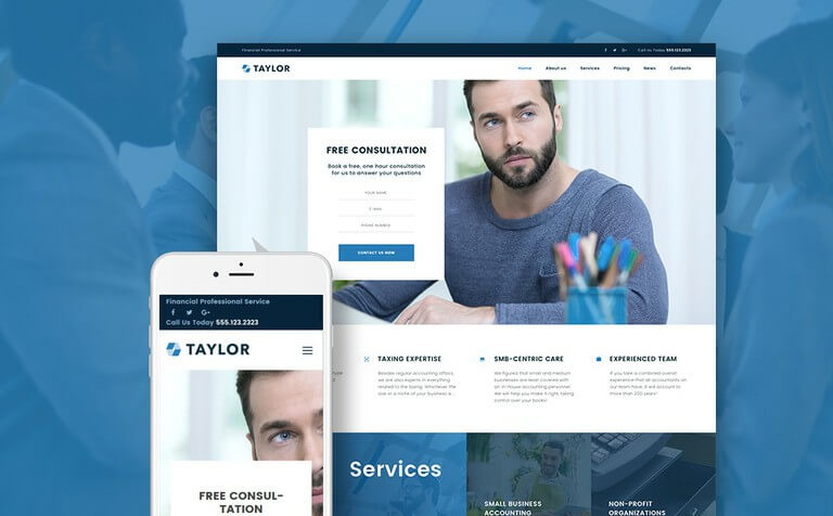 Taylor Financial Accounting WordPress Theme