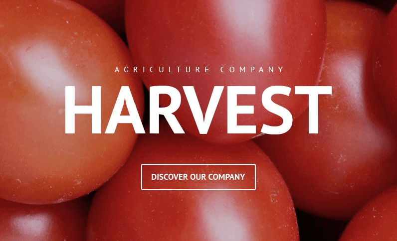 Agriculture Company WordPress Theme