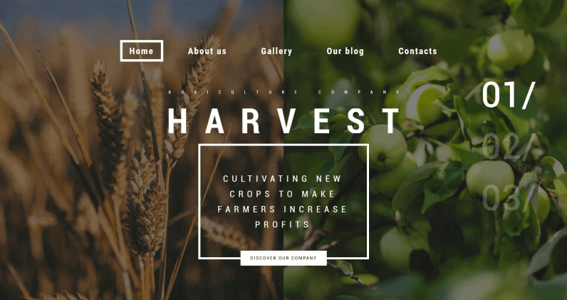 Harvest WordPress Theme