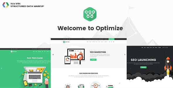 Optimize SEO Digital Marketing Theme