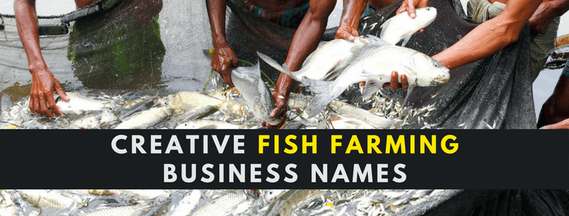 Fish Farming Business Names