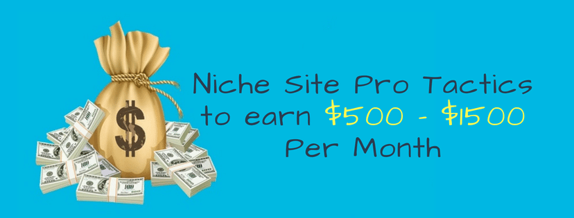 Niche Site Pro Tactics