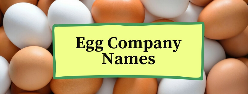 Egg Company Names