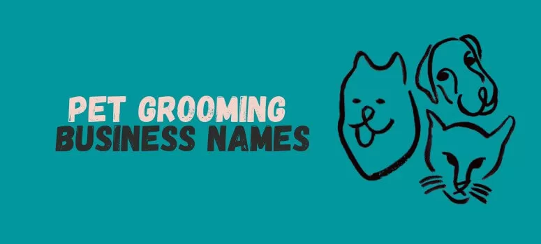 Catchy Pet Grooming Business Names Ideas