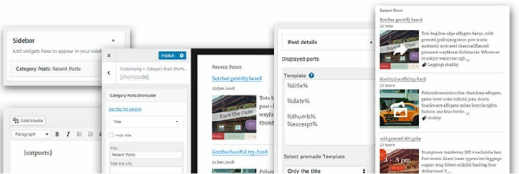 Category Posts Widget