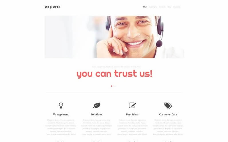 Consulting Firm
