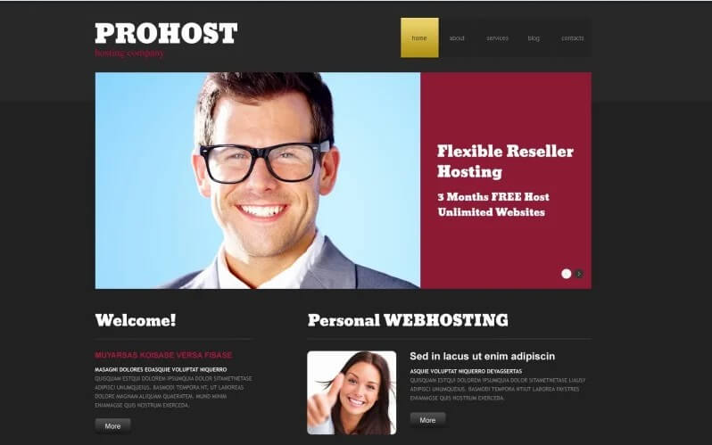 Hosting Responsive WordPress Theme2