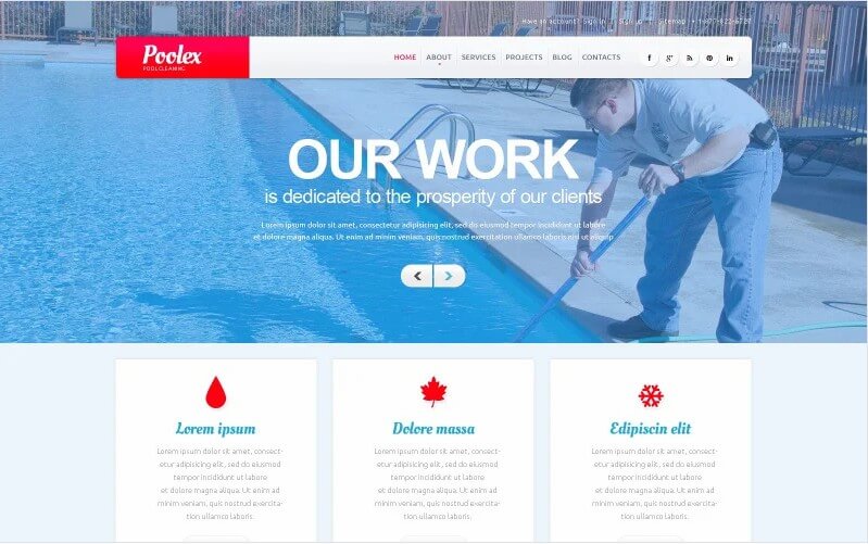 Pool Cleaning Company